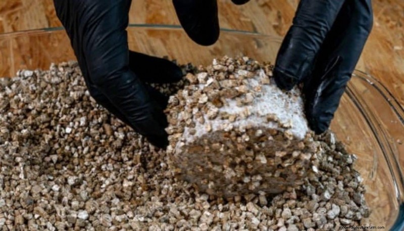 PF Tek: A Beginner s Guide to Growing Mushrooms at Home