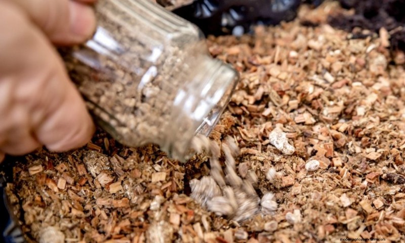 Mushroom Cultivation: A Beginner s Guide to Spawn, Substrate & Logs