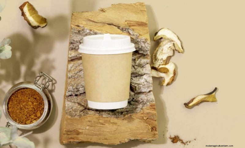 Mushroom Farming Profits: Top Earning Varieties & Revenue Potential