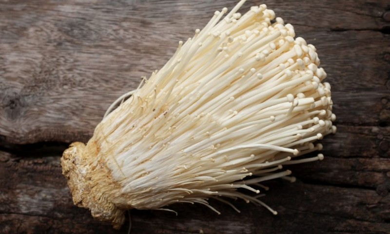 Grow Mushrooms at Home: A Beginner s Guide to Using Polypropylene Bottles