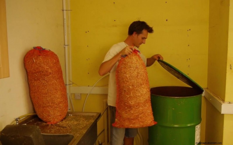 Pasteurizing Mushroom Substrate: A Beginner s Guide (5 Methods)