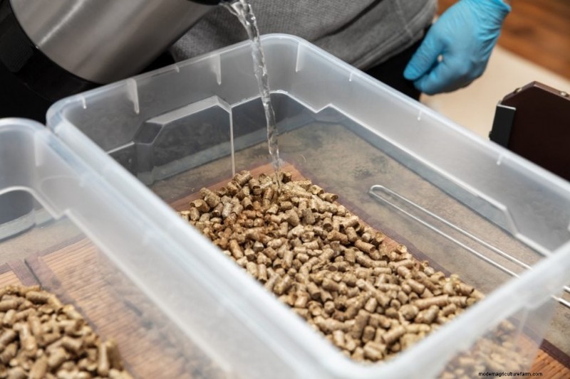 Pasteurizing Mushroom Substrate: A Beginner s Guide (5 Methods)