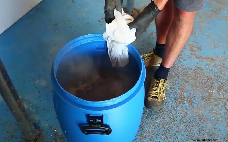 Pasteurizing Mushroom Substrate: A Beginner s Guide (5 Methods)