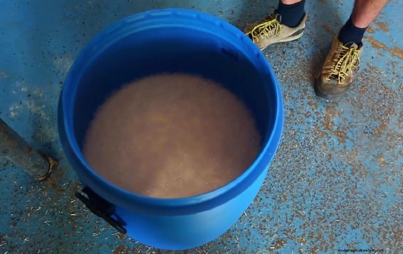 Pasteurizing Mushroom Substrate: A Beginner s Guide (5 Methods)