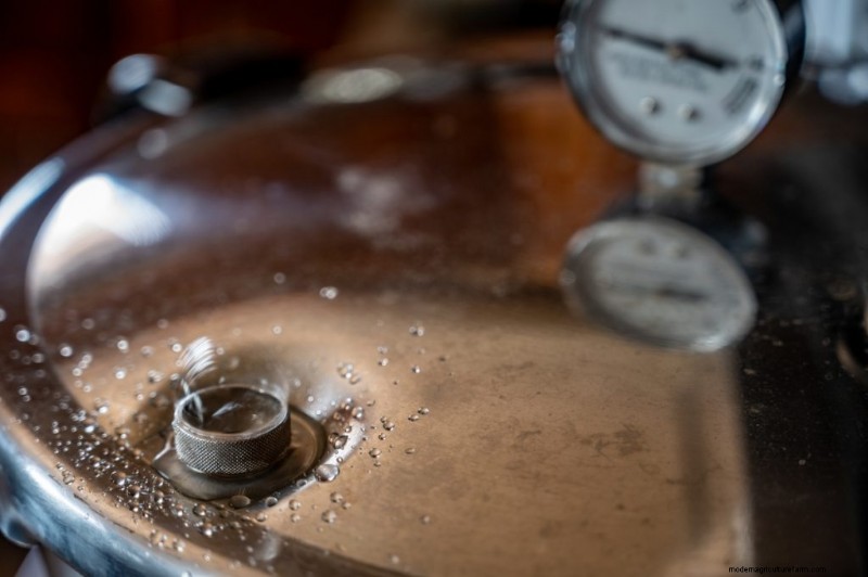 Sterilizing Mushroom Substrate: A Comprehensive Guide for Home Growers