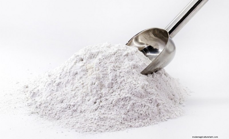 Cold Water Lime Bath Pasteurization for Mushroom Substrate: A Guide