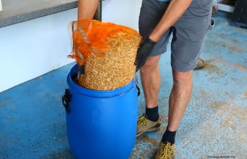 Cold Water Lime Bath Pasteurization for Mushroom Substrate: A Guide