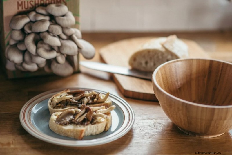 Grow Gourmet Mushrooms at Home: The Ultimate Buyer s Guide