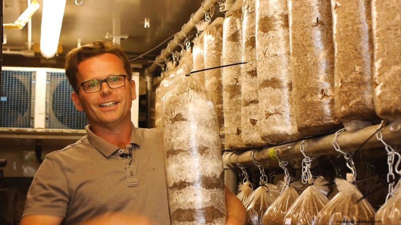 Starting a Mushroom Business: Essential Insights from an Experienced Grower