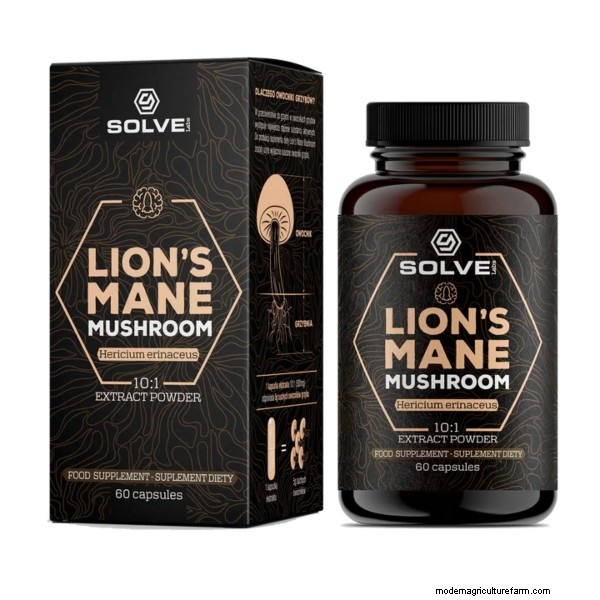 Top 10 Lion s Mane Supplements in the UK: Benefits & Reviews