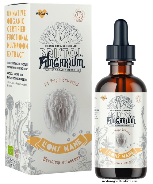 Top 10 Lion s Mane Supplements in the UK: Benefits & Reviews