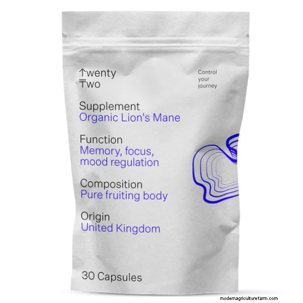 Top 10 Lion s Mane Supplements in the UK: Benefits & Reviews