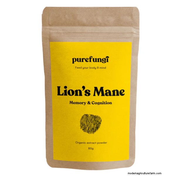 Top 10 Lion s Mane Supplements in the UK: Benefits & Reviews