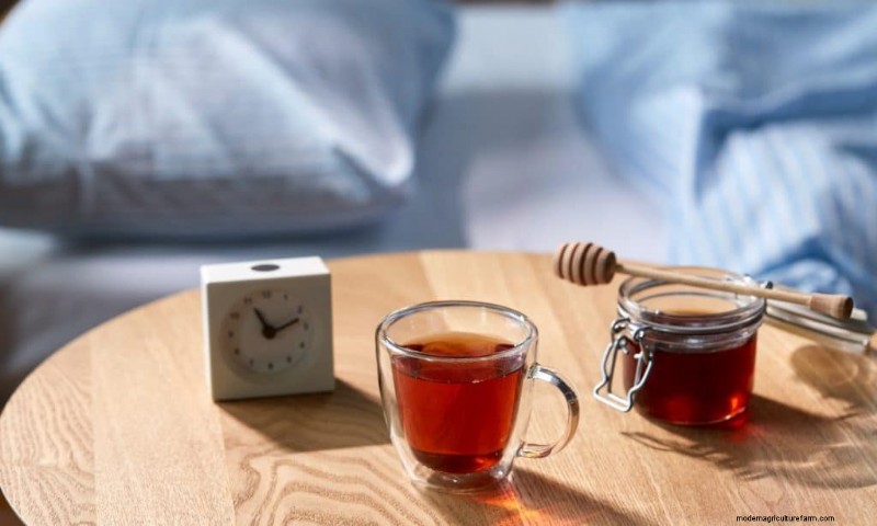 Best Mushrooms for Sleep: Natural Remedies for Restful Nights