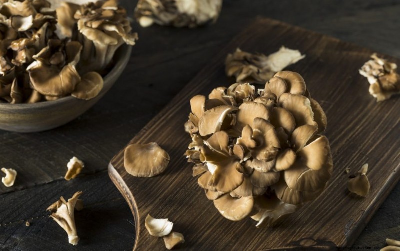 Boost Immunity with These 8 Powerful Medicinal Mushrooms
