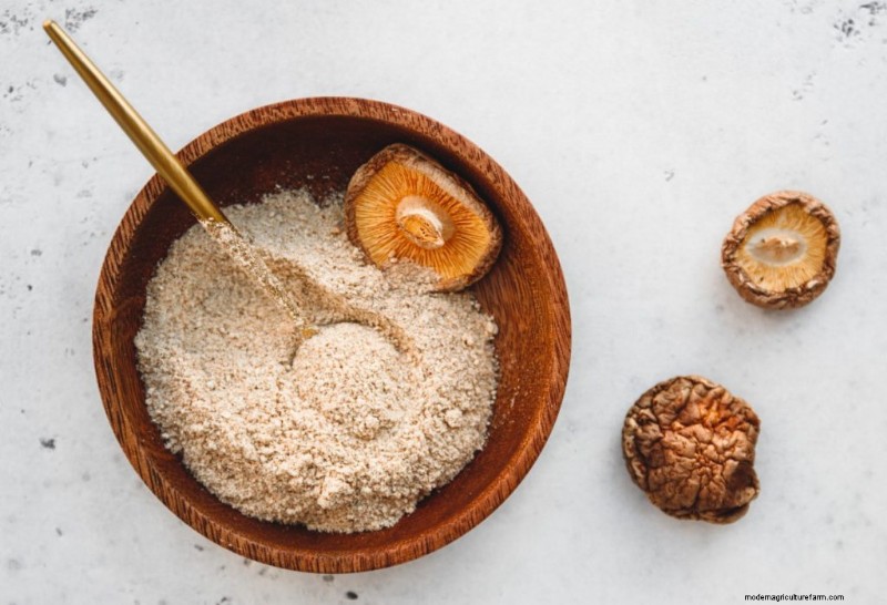 Boost Immunity with These 8 Powerful Medicinal Mushrooms