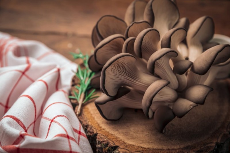 Boost Immunity with These 8 Powerful Medicinal Mushrooms