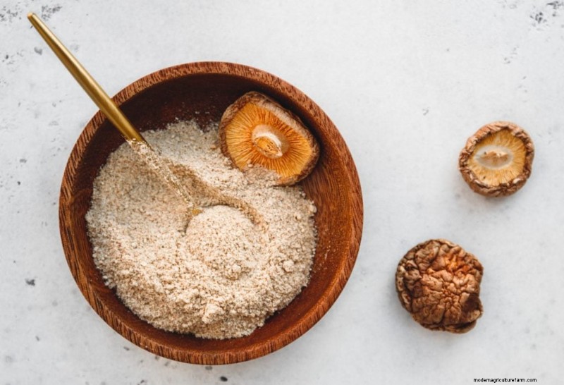 Mushroom Supplements: Tinctures, Extracts, Powders & Capsules - What s Best?