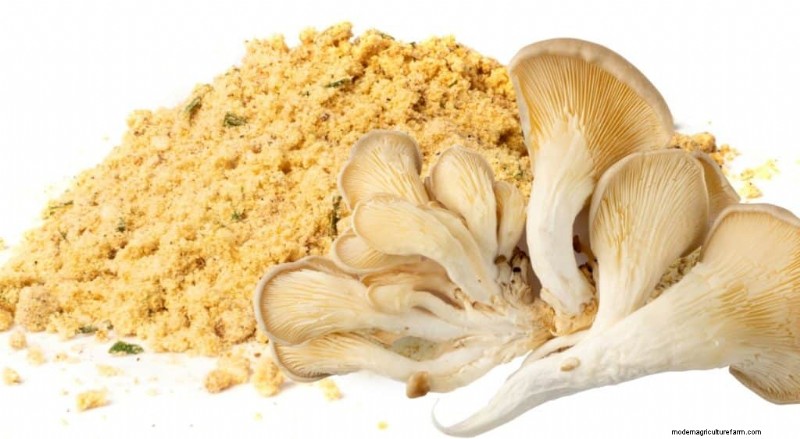 Mushroom Powder: Benefits, Uses & Recipes - A Comprehensive Guide