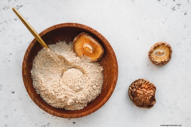 Mushroom Powder: Benefits, Uses & Recipes - A Comprehensive Guide