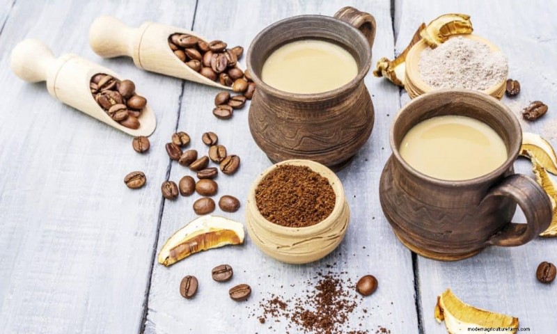 Mushroom Powder: Benefits, Uses & Recipes - A Comprehensive Guide