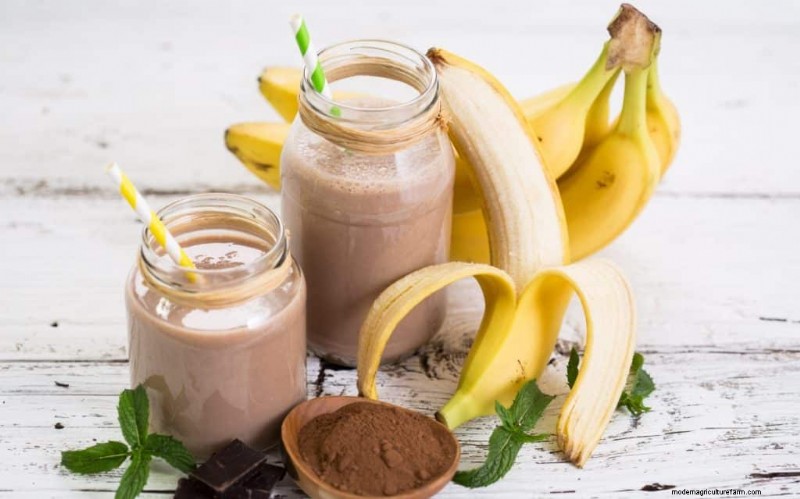 Mushroom Powder: Benefits, Uses & Recipes - A Comprehensive Guide