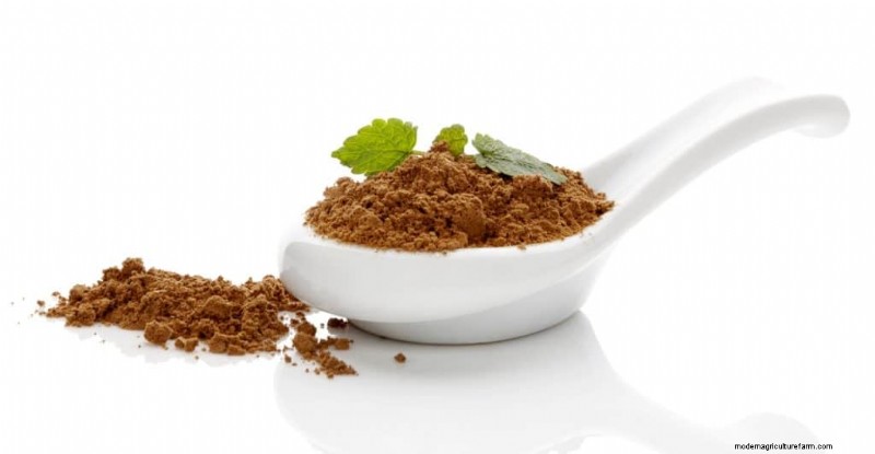 Mushroom Powder: Benefits, Uses & Recipes - A Comprehensive Guide