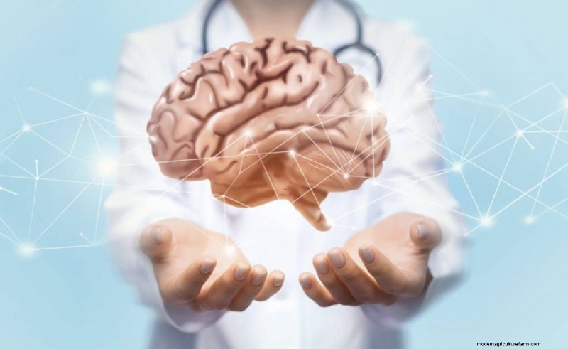 Lion s Mane Mushroom: Cognitive & Health Benefits | [Your Brand/Site Name]