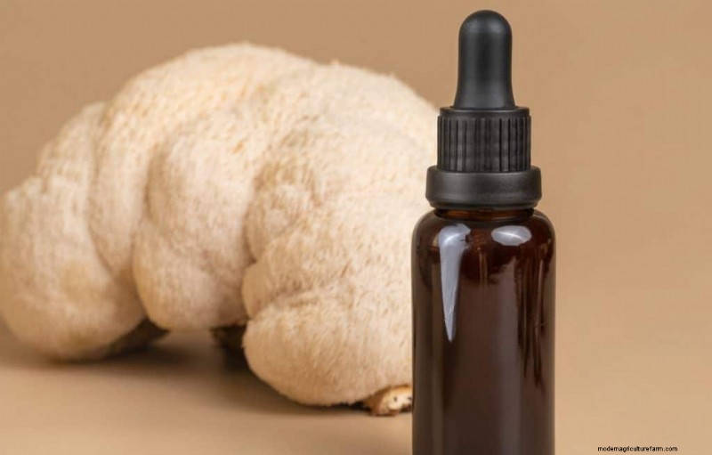 Lion s Mane Mushroom: Cognitive & Health Benefits | [Your Brand/Site Name]