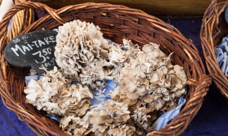 Maitake Mushrooms: 9 Health Benefits & How to Incorporate Them