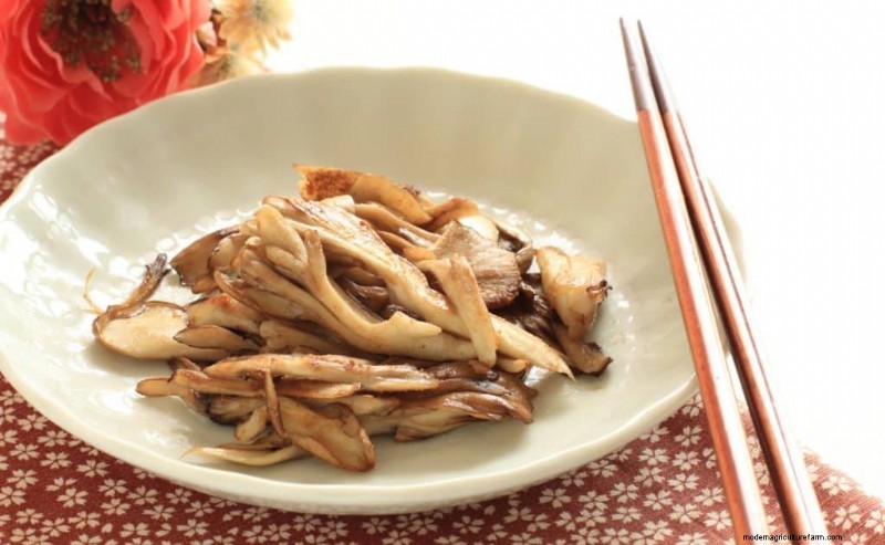 Maitake Mushrooms: 9 Health Benefits & How to Incorporate Them