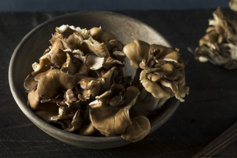 Nutritional Powerhouse: Vitamins Found in Mushrooms