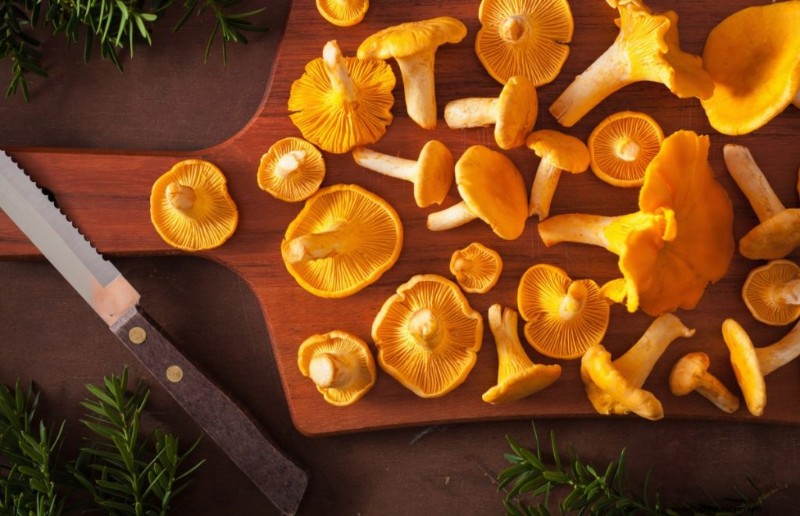 Nutritional Powerhouse: Vitamins Found in Mushrooms