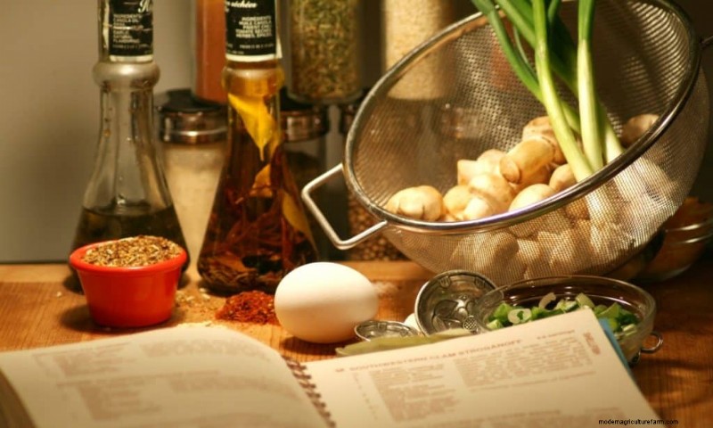 Nutritional Powerhouse: Vitamins Found in Mushrooms