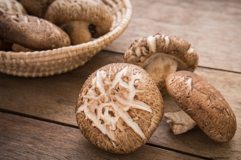 Mushrooms for Weight Loss: Benefits & How to Incorporate
