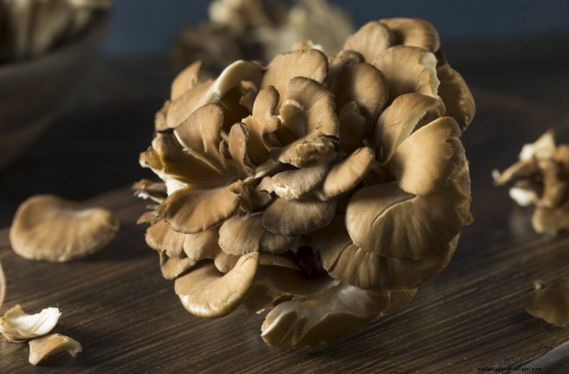 Mushrooms for Weight Loss: Benefits & How to Incorporate