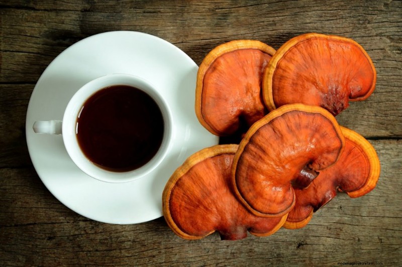 Mushrooms for Weight Loss: Benefits & How to Incorporate