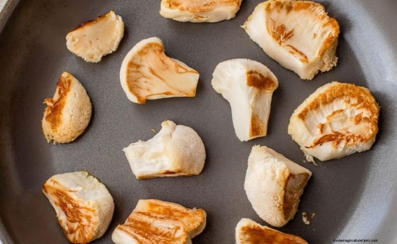 Lion s Mane Mushroom: Culinary Uses, Benefits & Easy Recipes