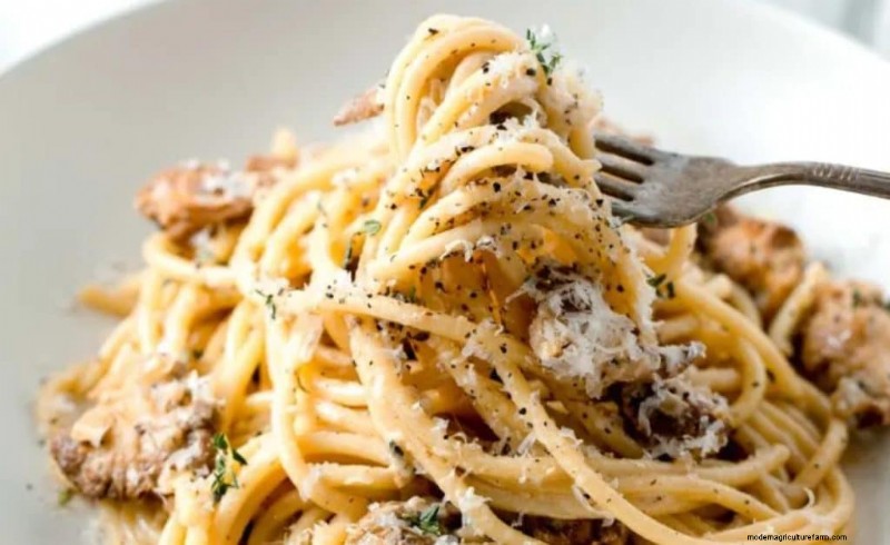 Lion s Mane Mushroom: Culinary Uses, Benefits & Easy Recipes