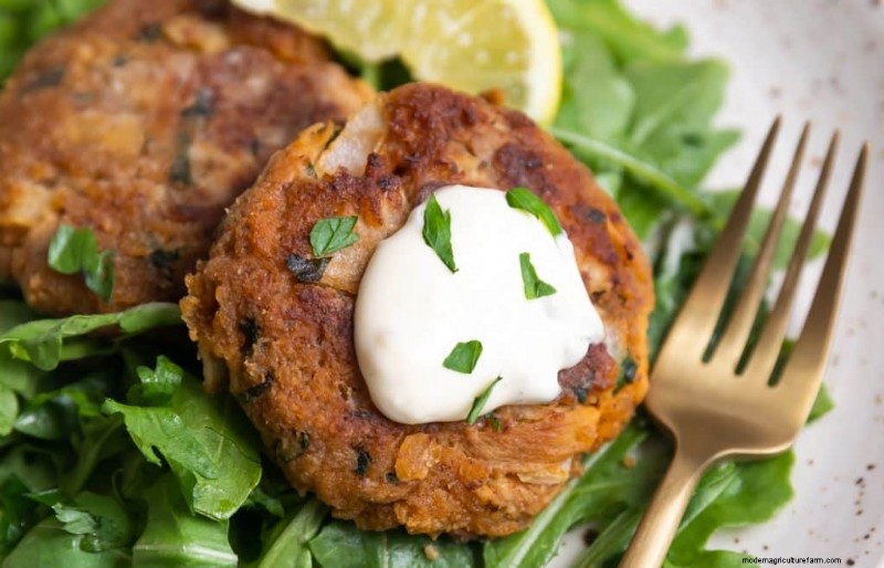 Lion s Mane Mushroom: Culinary Uses, Benefits & Easy Recipes
