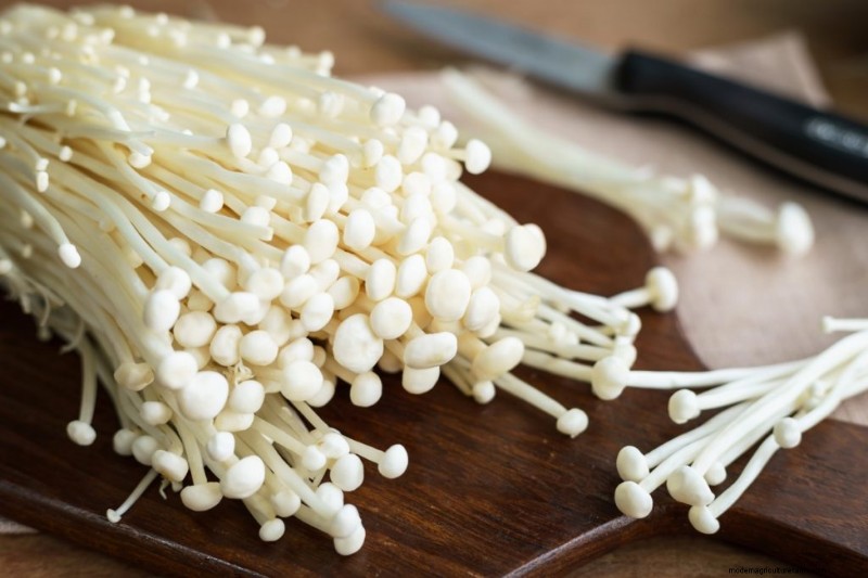 Enoki Mushrooms: A Comprehensive Guide to Flavor, Nutrition & Growing