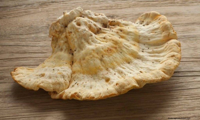 Chicken of the Woods Mushrooms: A Forager s & Cook s Guide