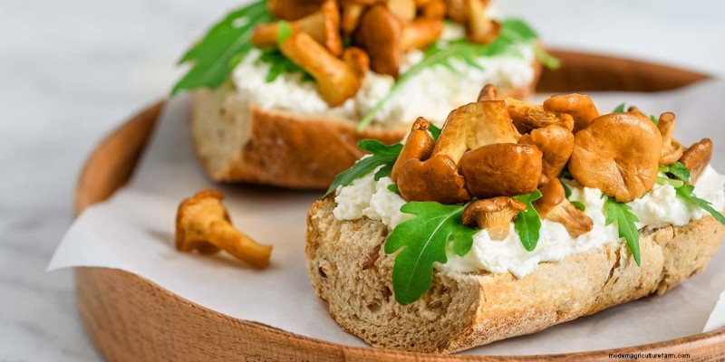 Mushroom Meat Substitutes: A Comprehensive Guide to Plant-Based Protein