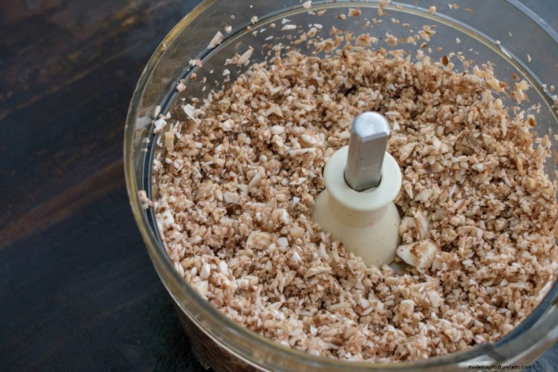 Mushroom Meat Substitutes: A Comprehensive Guide to Plant-Based Protein