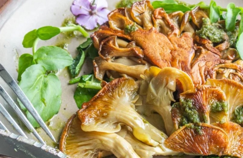Mushroom Meat Substitutes: A Comprehensive Guide to Plant-Based Protein