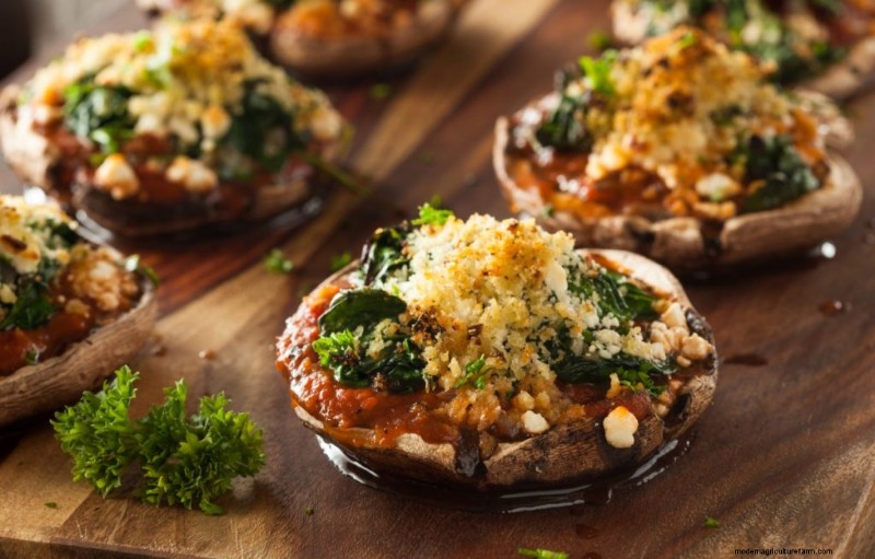 Mushroom Meat Substitutes: A Comprehensive Guide to Plant-Based Protein