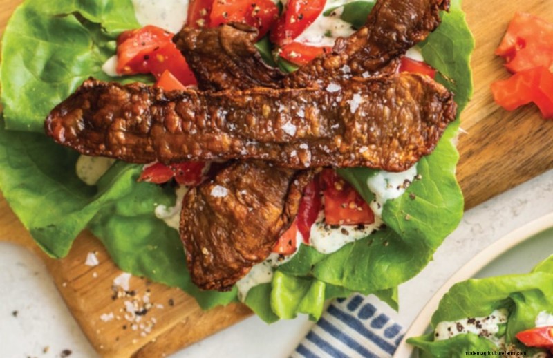 Mushrooms and Protein: A Comprehensive Guide for Health-Conscious Eaters