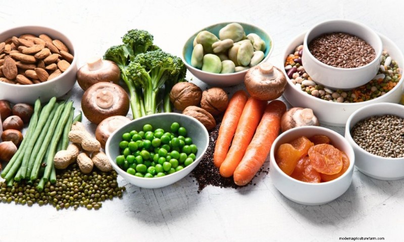 Mushrooms and Protein: A Comprehensive Guide for Health-Conscious Eaters