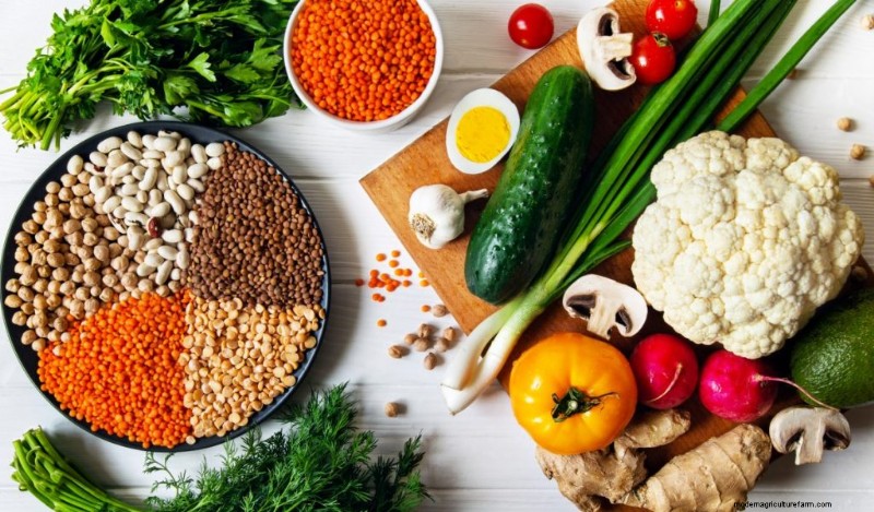 Mushrooms and Protein: A Comprehensive Guide for Health-Conscious Eaters