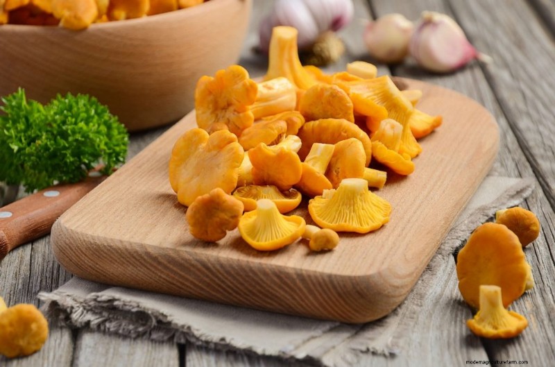 Grocery Store Mushrooms: A Beginner s Guide to Varieties & Uses